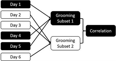 Consistency of Social Interactions in Sooty Mangabeys and Chimpanzees